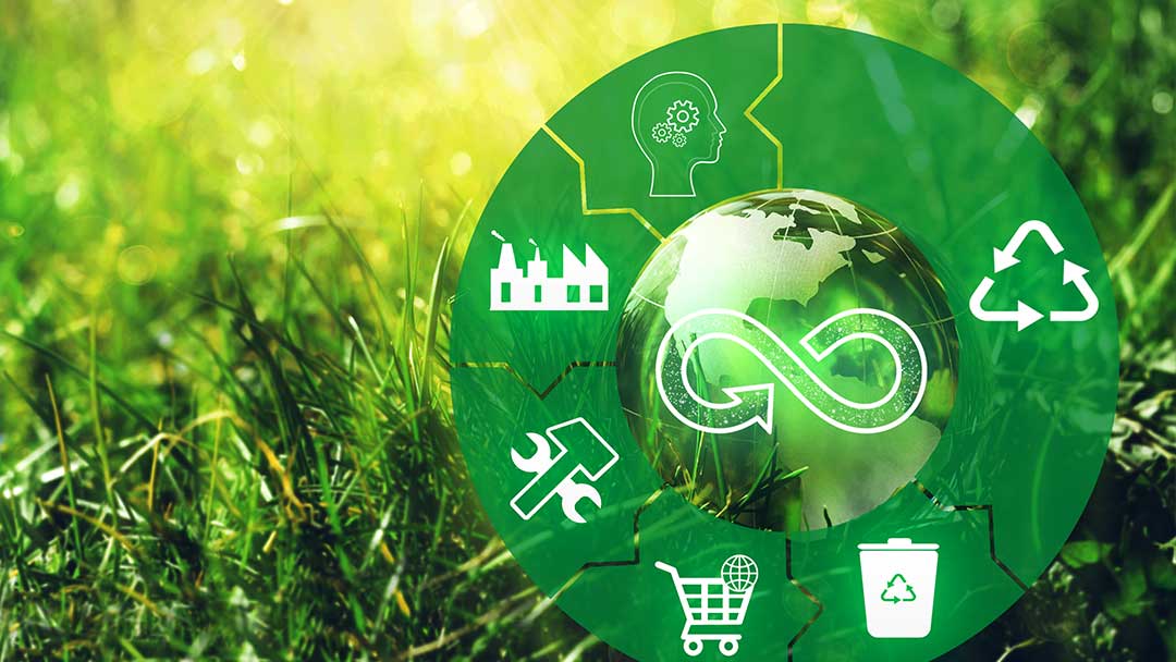 Circular Economy Development Centre