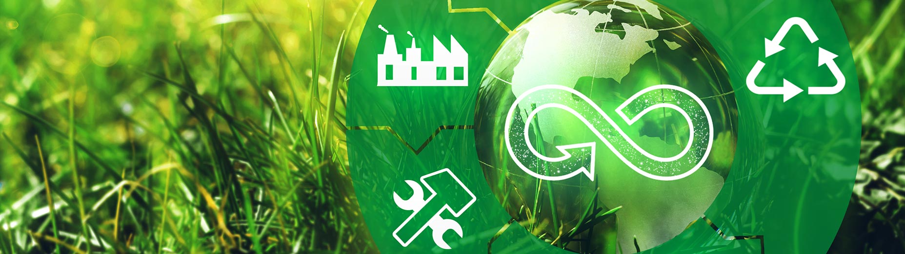 Circular Economy Development Centre